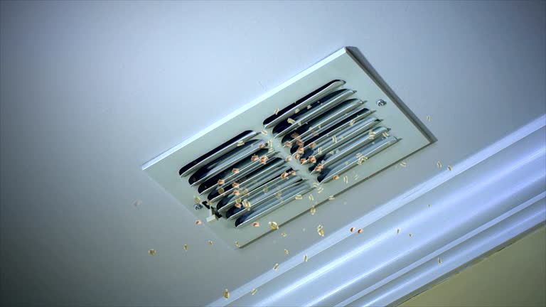 Best Residential Air Duct Cleaning  in Ladonia, AL