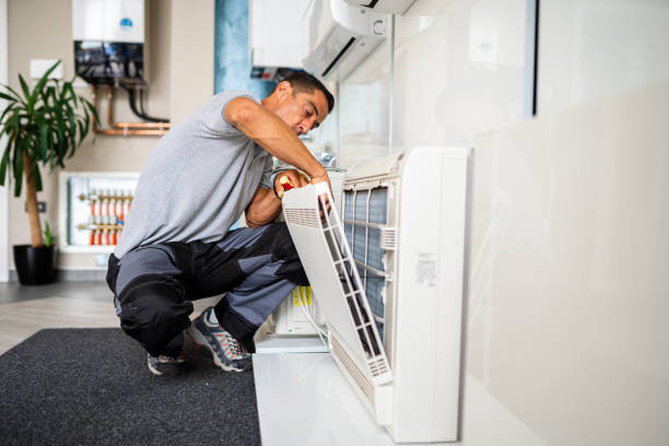 Best Best Air Duct Cleaning Company  in Ladonia, AL