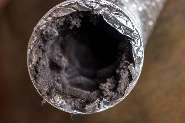 Best Ductwork Cleaning Services  in Ladonia, AL