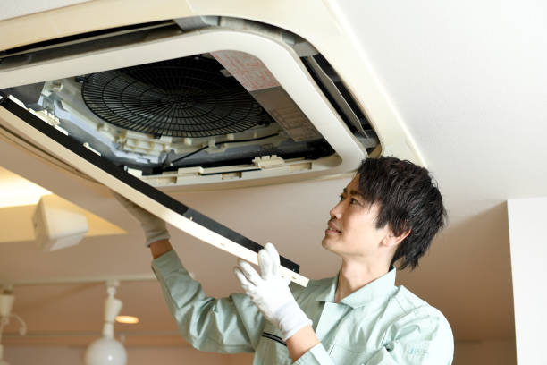 Best Affordable Duct Cleaning Services  in Ladonia, AL
