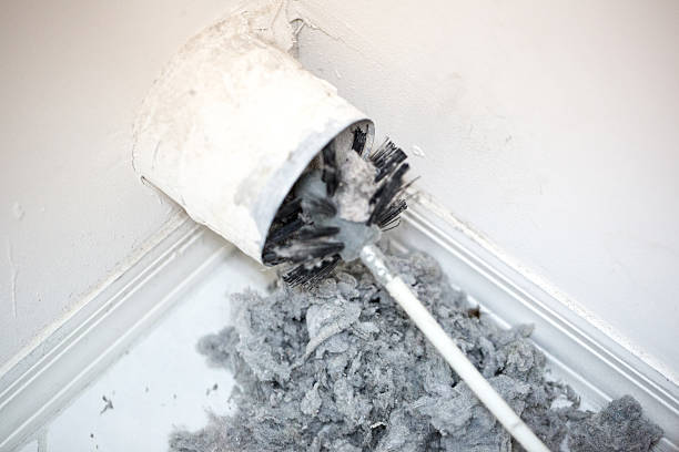 Best Local Air Duct Cleaning Services  in Ladonia, AL