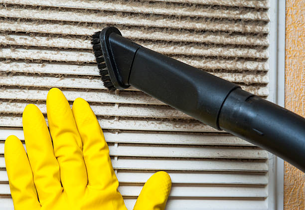 Best Air Duct Cleaning Company Near Me  in Ladonia, AL